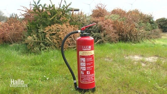 Fire extinguisher in front of a pile of brushwood.  ©Screenshot 