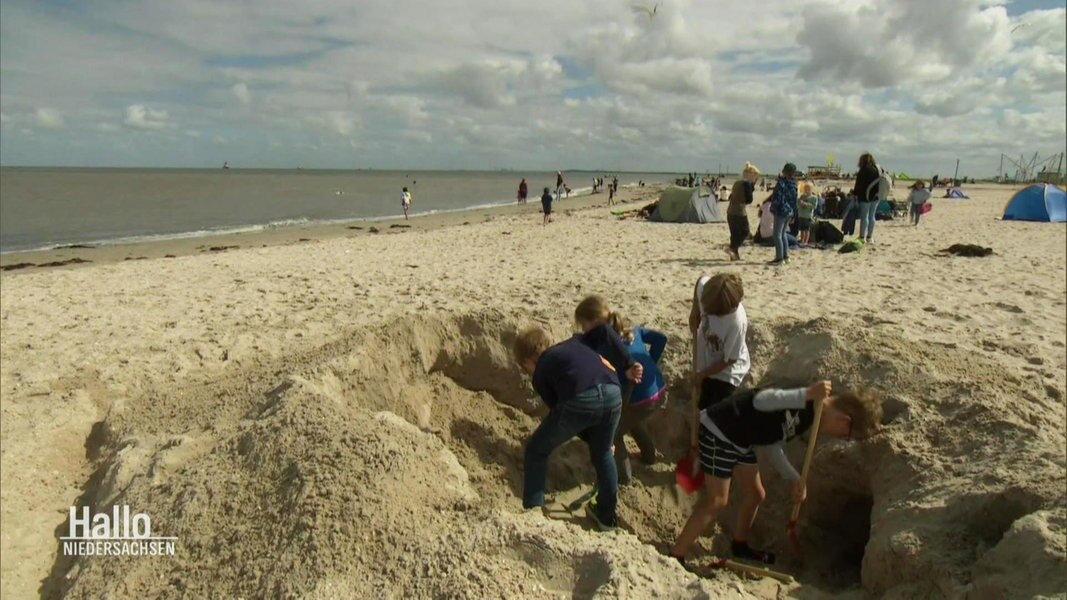 emden strand schwimmen clipart