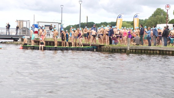 Ca. 200 Sportlerinnen und Sportler stehen zum Start bereit beim Warnowschwimmen. © Screenshot 