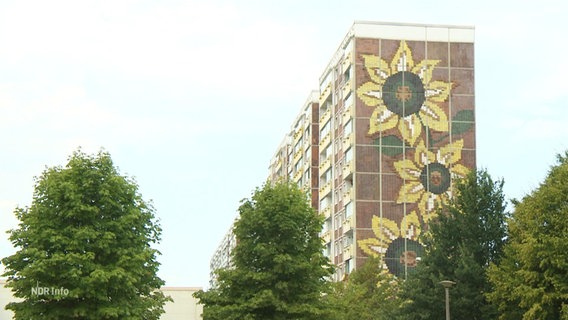 Das Sonnenblumenhaus in Lichtenhagen © Screenshot 