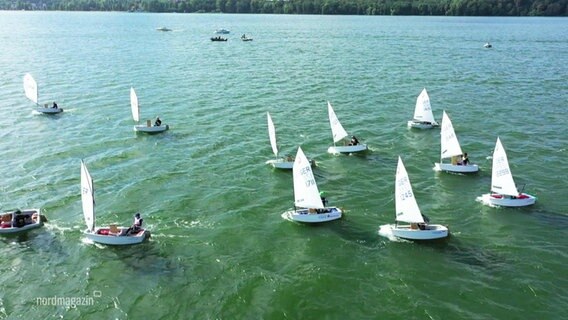 Blick aus der Vogelperspektive auf eine Flotte von kleineren Segelbooten der Klasse "Optimist" die auf einem Gewässer bei Sonnenschein unterwegs sind. © Screenshot 