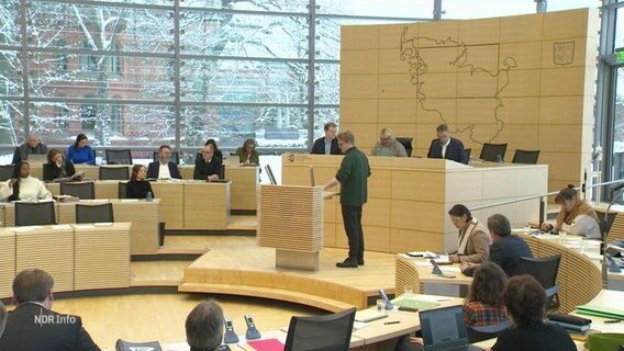 Abgeordnete debattieren im Kieler Landtag. © Screenshot 