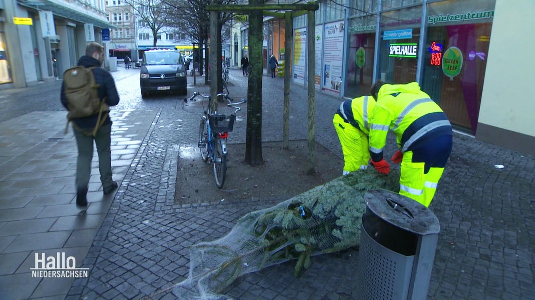 Unterwegs mit der WeihnachtsbaumMüllabfuhr in Braunschweig NDR.de