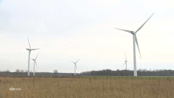 Windräder auf einem Feld. © Screenshot 