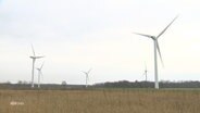 Windräder auf einem Feld. © Screenshot 