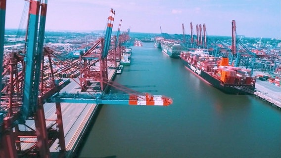 Blick über den Hamburger Containerhafen © Screenshot 