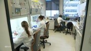 Drei Biologinnen bei der Arbeit in einem Labor. © Screenshot 