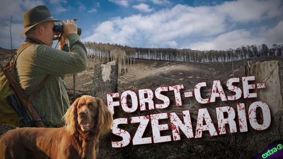Ein Jäger mit seinem Hund schaut auf tote Bäume. Forst-Case-Szenario. (extra 3 vom 30.03.2023 im Ersten) © NDR 