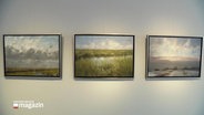 Drei Ölgemälde von Landschaften hängen nebeneinander in einer Ausstellung. © Screenshot 