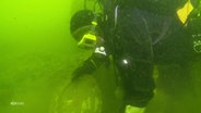 Ein Taucher auf der Suche nach dem Silberschatz in der Kieler Förde © Screenshot 