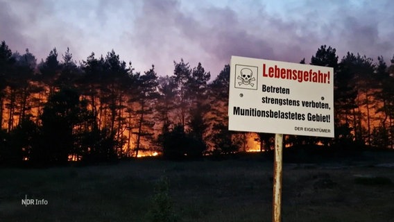 Waldbrand auf einem ehemaligem Truppenübungsplatz bei Lübtheen. © Screenshot 