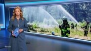 Ilka Petersen moderiert in NDR Info einen Beitrag zu Waldbränden in MV an. Im Hintergrund ist ein Foto eines Feuerwehreinsatzes im Wald zu sehen. © Screenshot 
