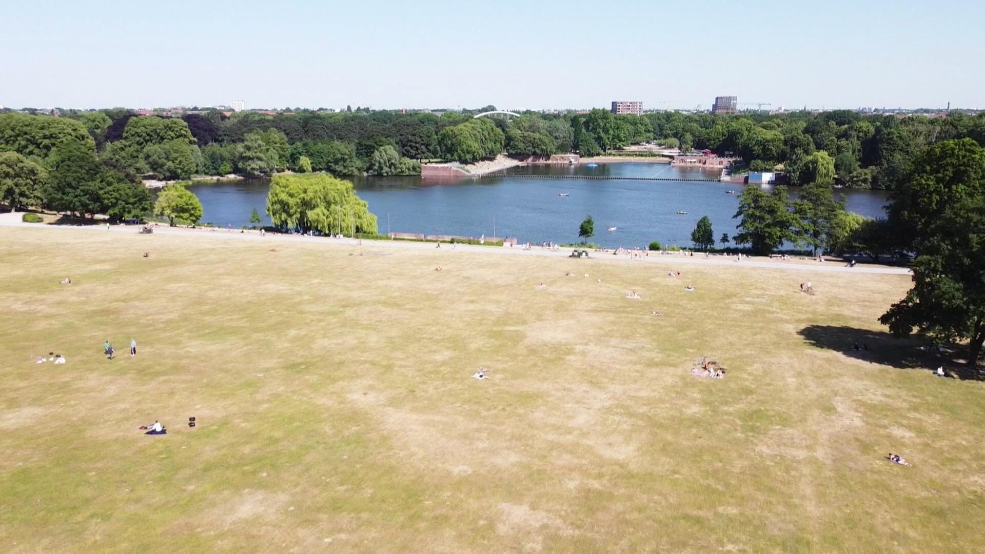 Wie wirkt sich die lange Trockenheit in Hamburg aus?