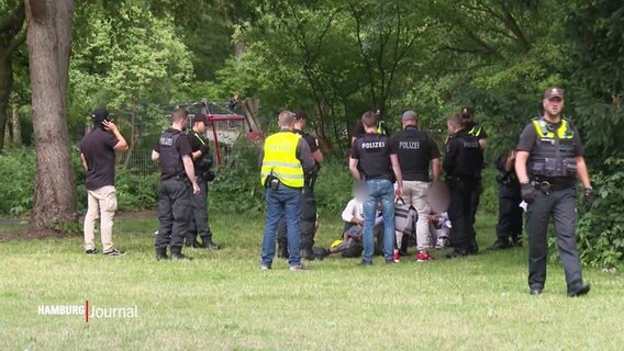Mehrere Polizisten bei einer Drogen-Razzia im Hamburger Dulsberg-Parkk © Screenshot 