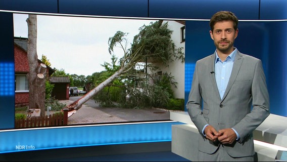 Daniel Bröckerhoff moderiert die Spätsausgabe NDR Info. Im Hintergrund ist ein Foto eines vom Sturm "Poly" umgestürzten Baum zu sehen. © Screenshot 