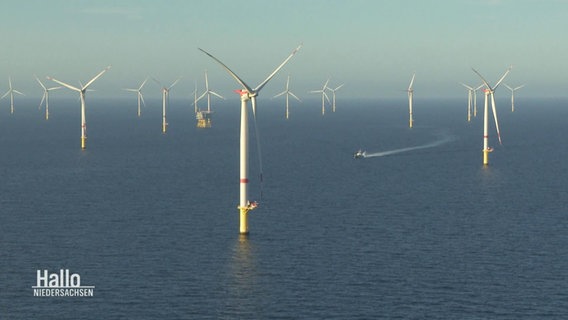 Ein Offshore-Windpark. © Screenshot 