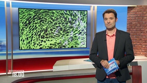 Johannes Avenarius moderiert das Niedersachsen-Magazin um 18:00 Uhr. © Screenshot 