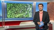 Johannes Avenarius moderiert das Niedersachsen-Magazin um 18:00 Uhr. © Screenshot 