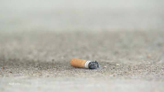 Eine Zigarettenkippe liegt auf einer Straße. © Screenshot 
