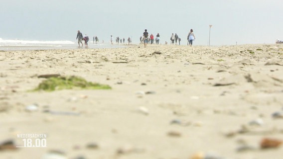 Bodennaher Blick über einen Sandstrand: In der Ferne gehen mehrere Spazierende den Strand entlang. © Screenshot 