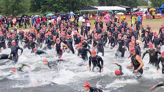 Teilnehmende des Müritz-Triathlon stürzen sich ins Wasser. © Screenshot 