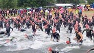Teilnehmende des Müritz-Triathlon stürzen sich ins Wasser. © Screenshot 
