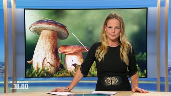 Tina Hermes moderiert Niedersachsen 18:00. © Screenshot 