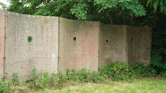 Eine alte Betonmauer die früher Rechlin teilte. © Screenshot 