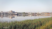 Ein Bild der geplanten Warnowbrücke in Rostock. © Screenshot 