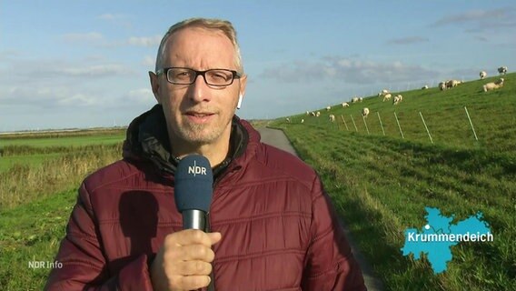 NDR-Reporter Olaf Kretschmer berichtet aus Krummendeich. © Screenshot 