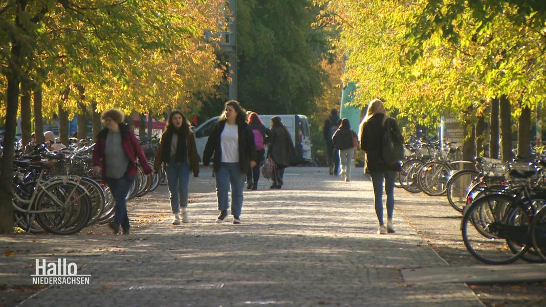 Immer Mehr Studierende Leiden Unter Psychischem Stress | NDR.de ...