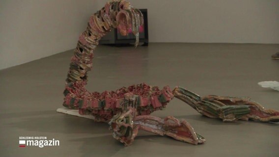 Ein Kunstobjekt der Abschlussausstellung der Kunststudierenden in Kiel. © Screenshot 