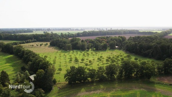Blick aus der Vogelperspektive auf ein größeres Feld mit einer Nussbaumplantage darauf. © Screenshot 