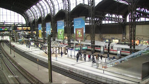 Der Hamburger Hauptbahnhof. © Screenshot 