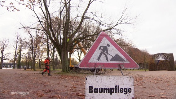 Ein Schild warnt vor Baumpflege-Arbeiten. © Screenshot 