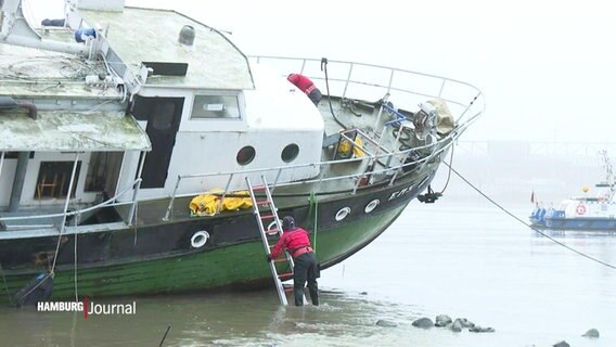 Ein Schiff ist im seichten Wasser auf Grund gelaufen. © Screenshot 