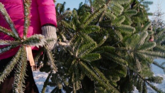 Detail: Weihnachtsbaum wird weggetragen © Screenshot 