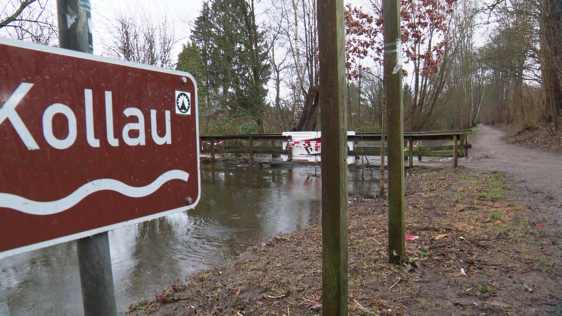 Dauerregen sorgt auch in Hamburg für Hochwasserwarnung