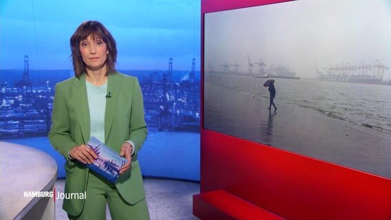 Theresa Pöhls moderiert das Hamburg Journal um 18:00 Uhr. © Screenshot 