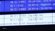 Eine Hinweistafel der Bahn mit Verweisen auf ausfallende Züge. © Screenshot 