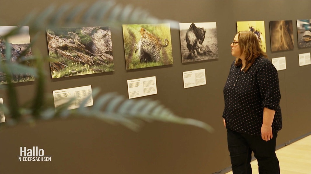 Braunschweig Ausstellung Zeigt Beste Naturfotos Des Jahres Ndr De