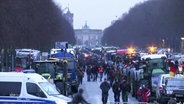 Sehr viele Trecker und Polizei vor dem Brandenburger Tor. © Screenshot 