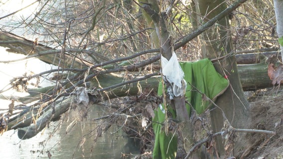 Zweige am Rande eines Wasserlaufes in denen Plastiktüten hängen. © Screenshot 