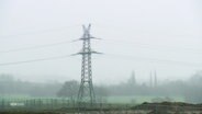 Grüne Landschaft mit einem Strommast © Screenshot 