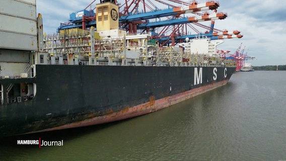 Ein MSC Containerschiff wird beladen. © Screenshot 