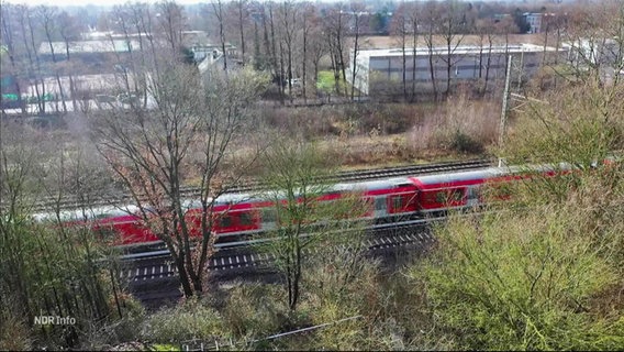 Blick durch Bäume auf eine Bahntrasse, auf der ein Zug fährt © Screenshot 