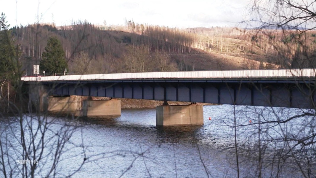 Ein Brücke im Harz.