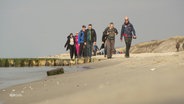 Eine Gruppe Menschen wandert an einem Strand. © Screenshot 