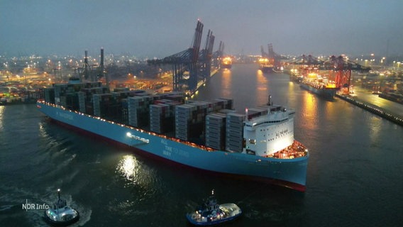 Das Containerschiff "Ane Maersk" im Hamburger Hafen. © Screenshot 