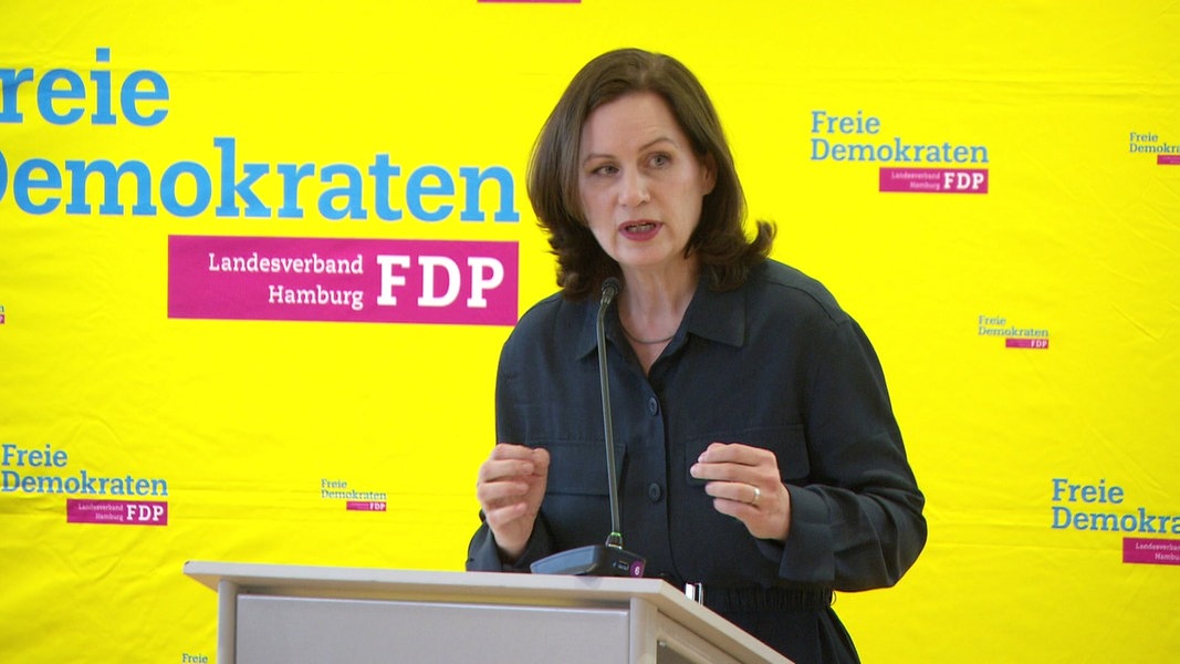 Hamburger FDP Läutet Heiße Phase Des Wahlkampfs Ein | NDR.de ...